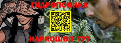 шишки Ипатово