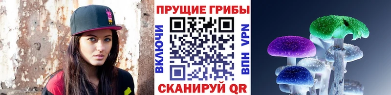 Псилоцибиновые грибы GOLDEN TEACHER МЕГА как войти Нефтекамск