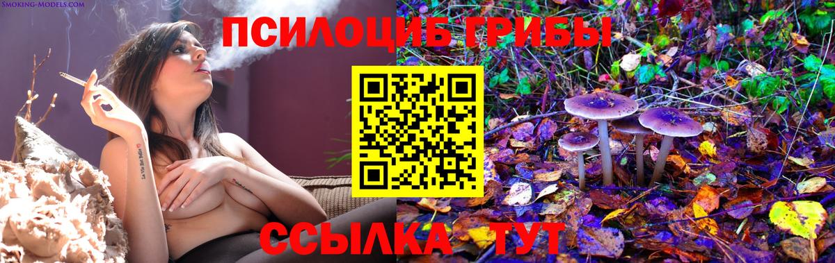 Галлюциногенные грибы мицелий Нефтекамск